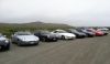 More Piedras Blancas Rookery Lookout